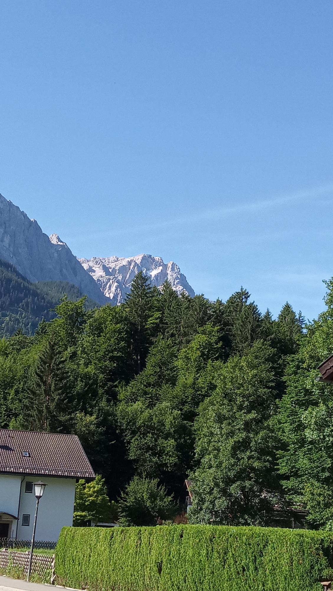 Es sind Bäume zusehen und dahinter die Berge.