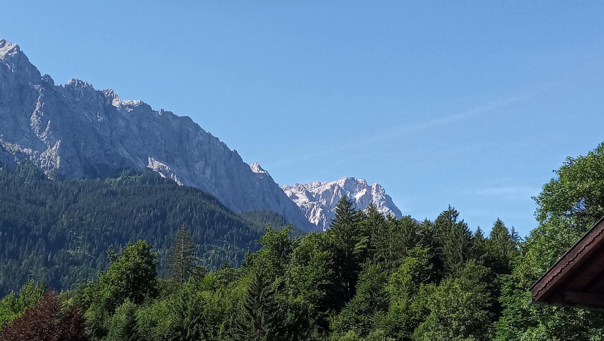 Es sind Bäume zusehen und dahinter die Berge.