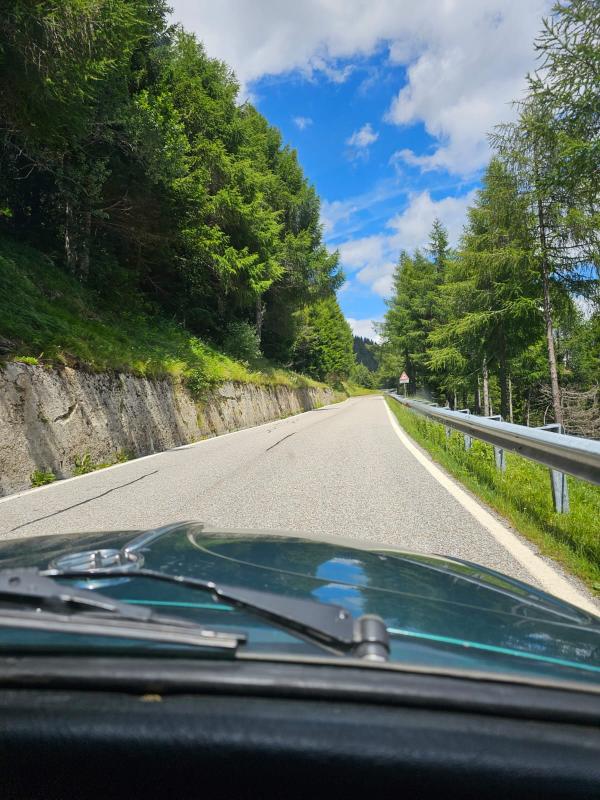 Im Käfer, mit Blick durch Frontscheibe auf die Fahrbarn vor einem. Es ist eine schmale Straße mit Bäumen rechts und links an der Seite.
