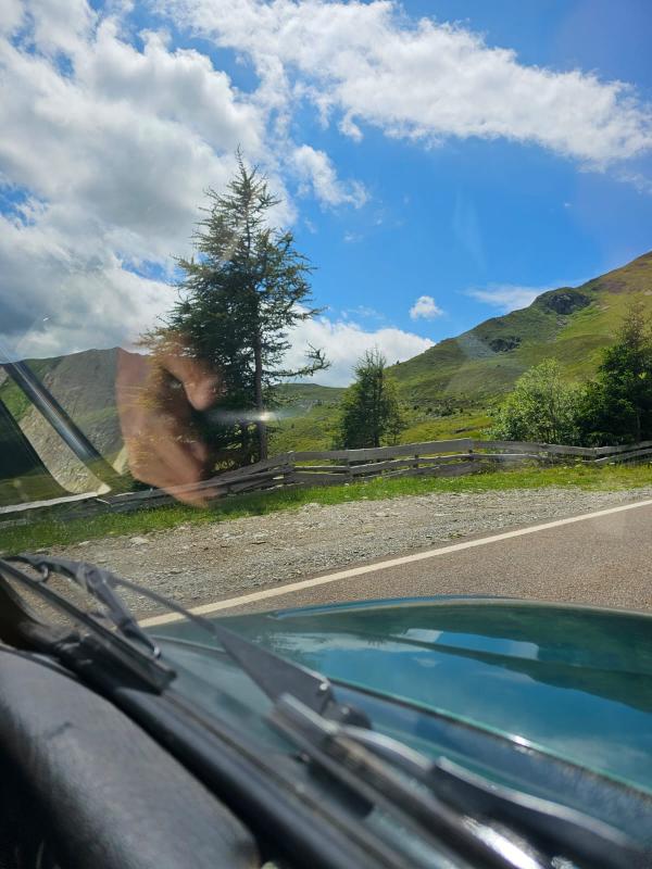 Im Käfer, mit Blick durch linke Seitenscheibe. Es ist eine schmale Straße mit Bäumen und Bergen im Hintergrund zu sehen.